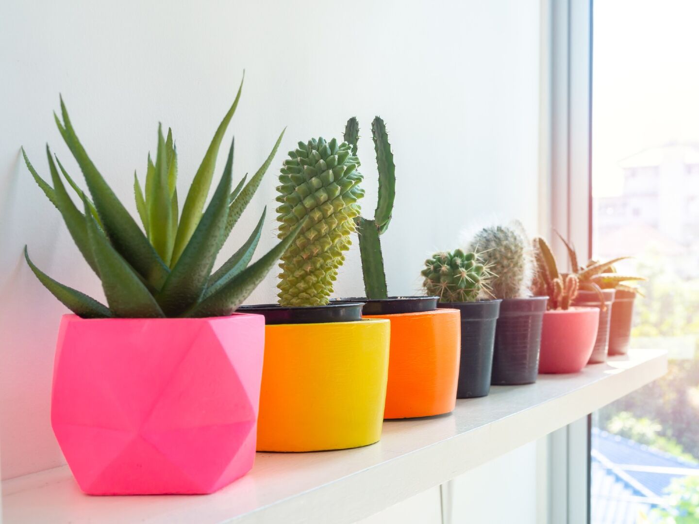 Bunte Blumentöpfe auf einem Fensterbrett | Credit: iStock.com/Techa Tungateja