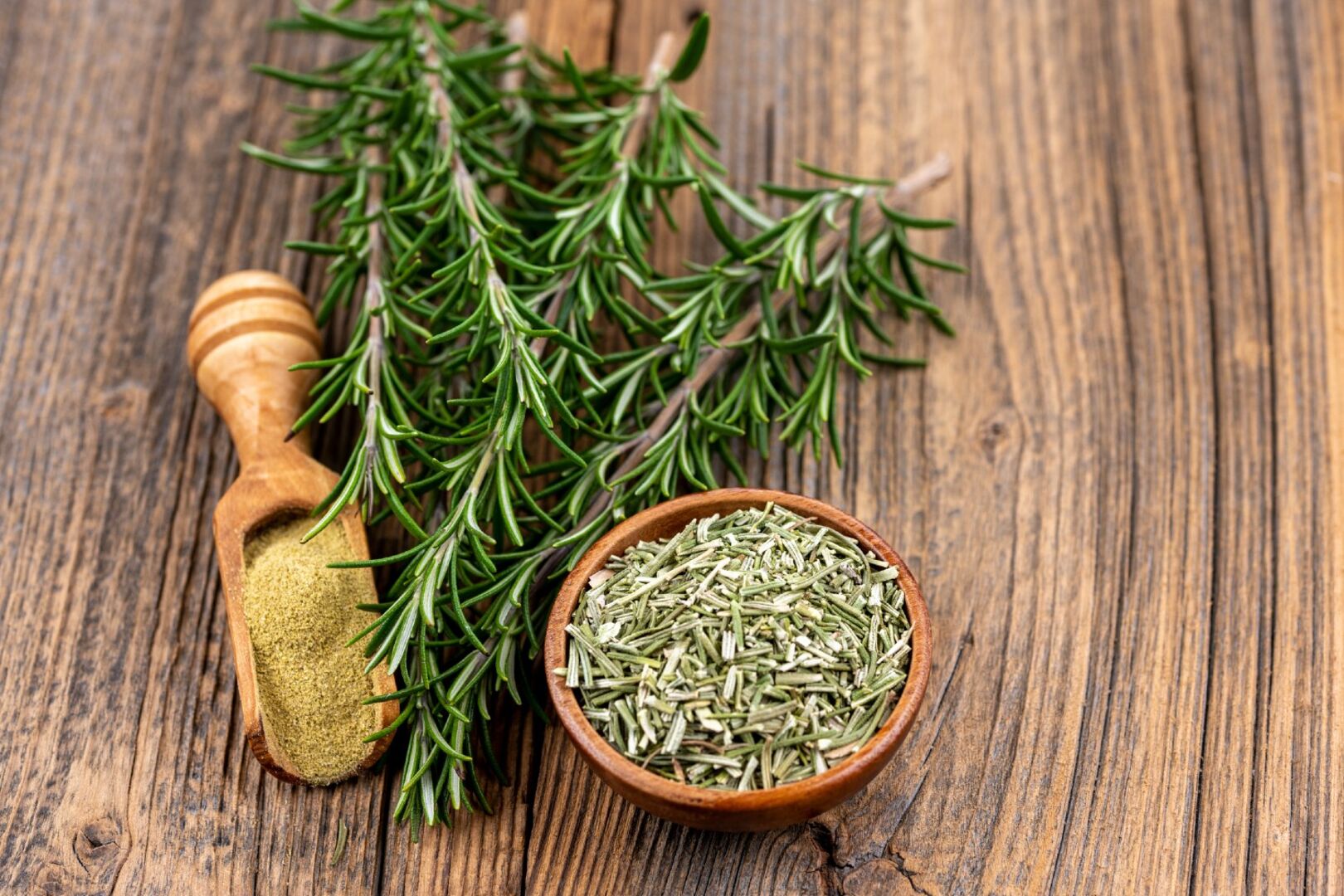 Rosmarin getrocknet und frisch | Credit: iStock.com/TKphotography64