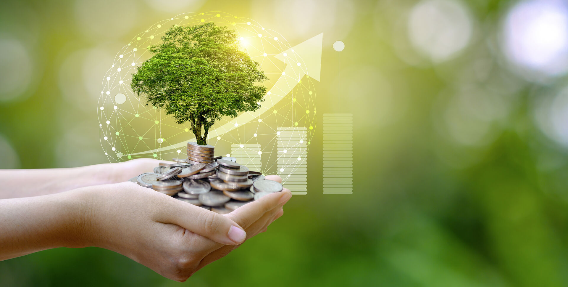 Startups die neuen Immobilien