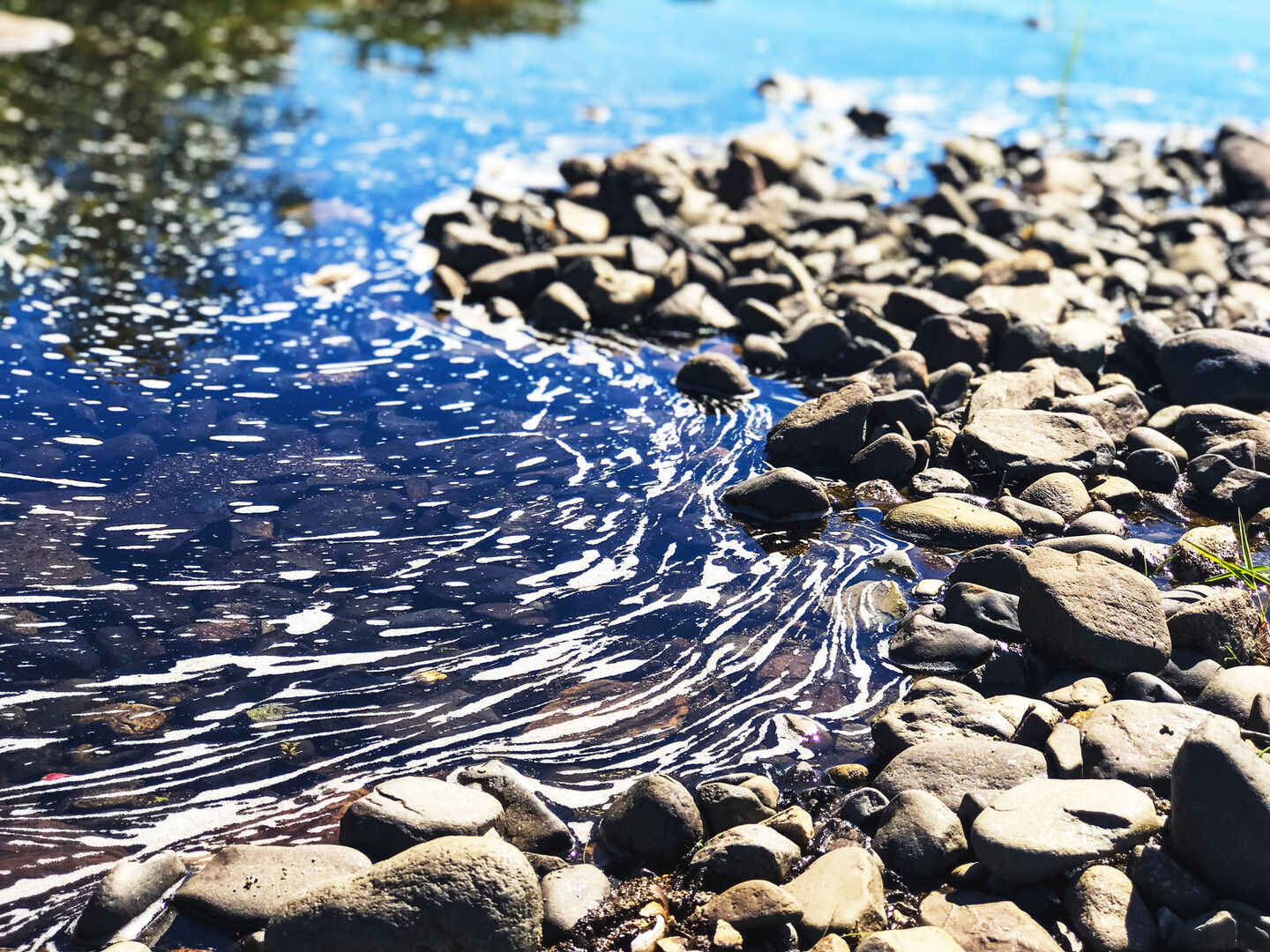 Öl in Wasser