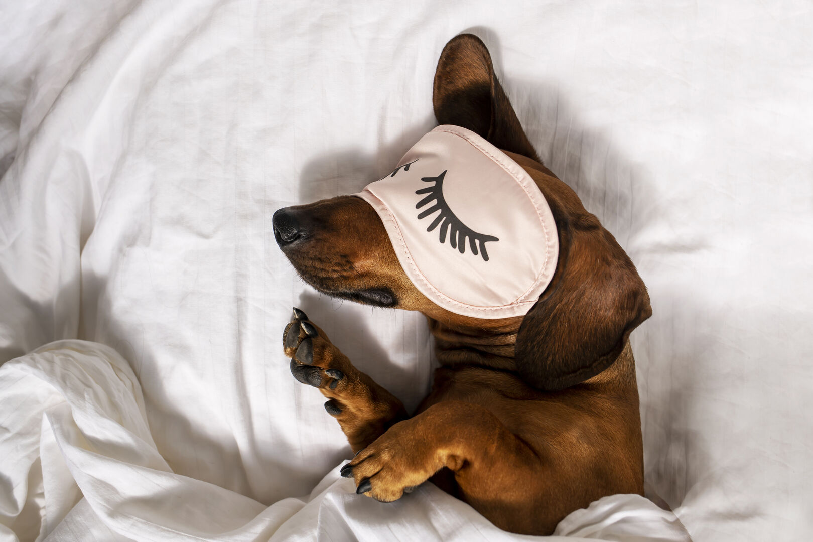 Früh aufstehen oder doch lieber ausschlafen? | Credit: iStock.com/Oksana Restenko