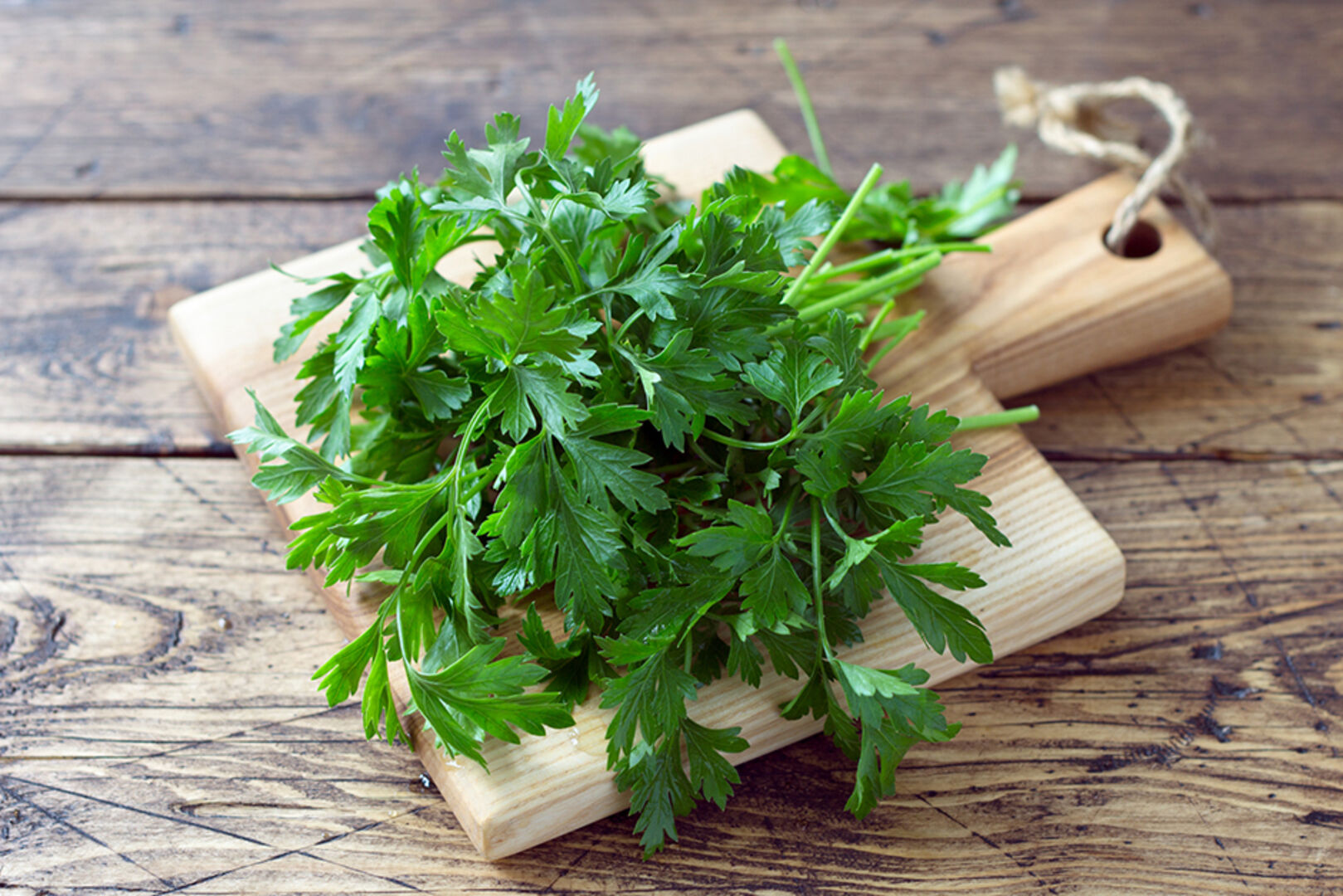 Ein Bund frische Petersilie | Credit: iStock.com/OlgaLepeshkina