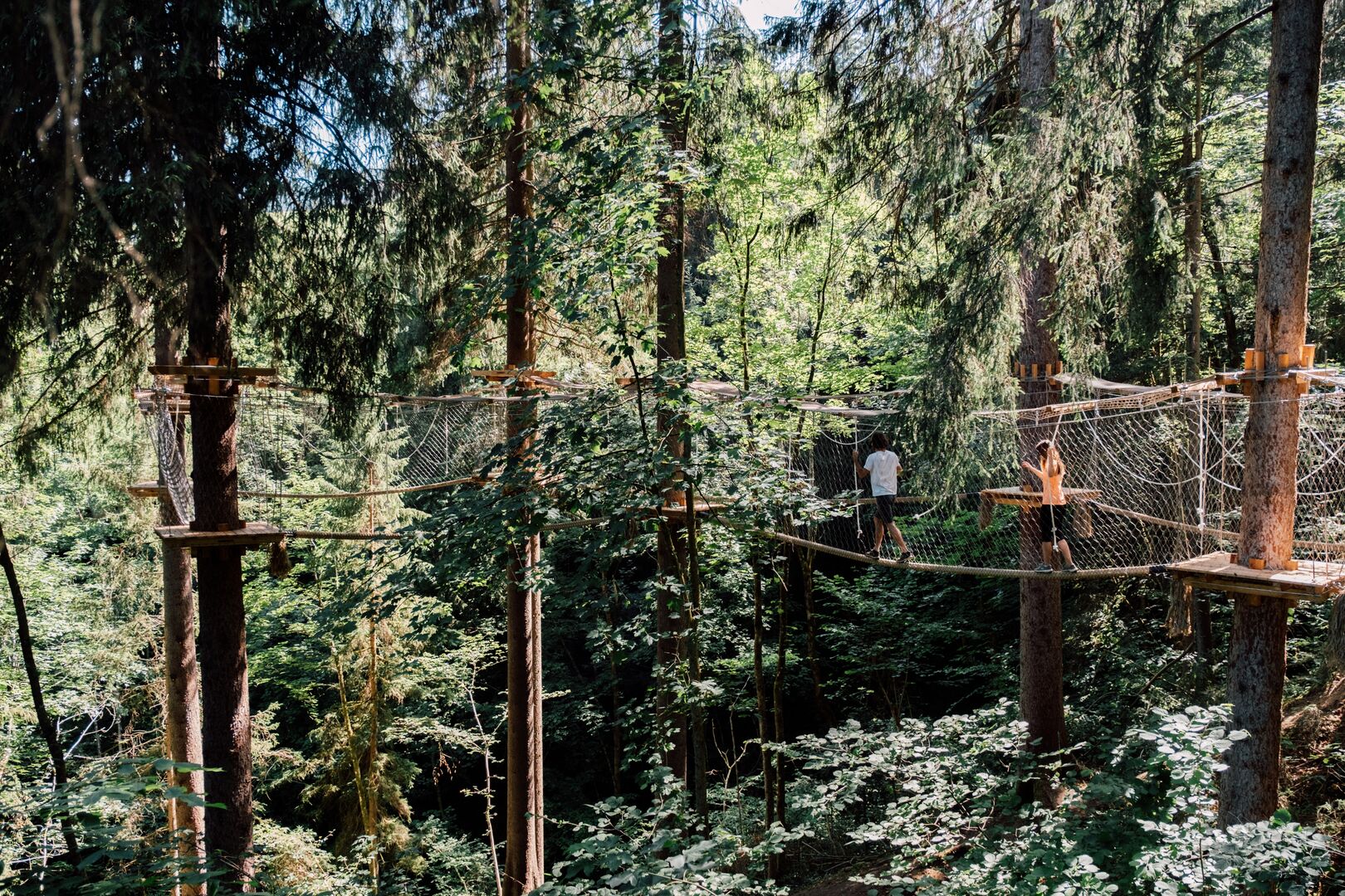 Baumparcours | Credit: TVB St. Johann im Pongau