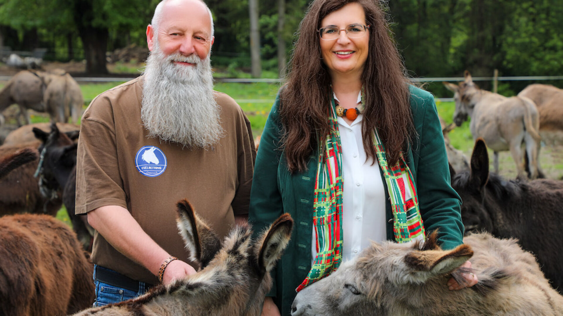 Porträt inmitten von Eseln