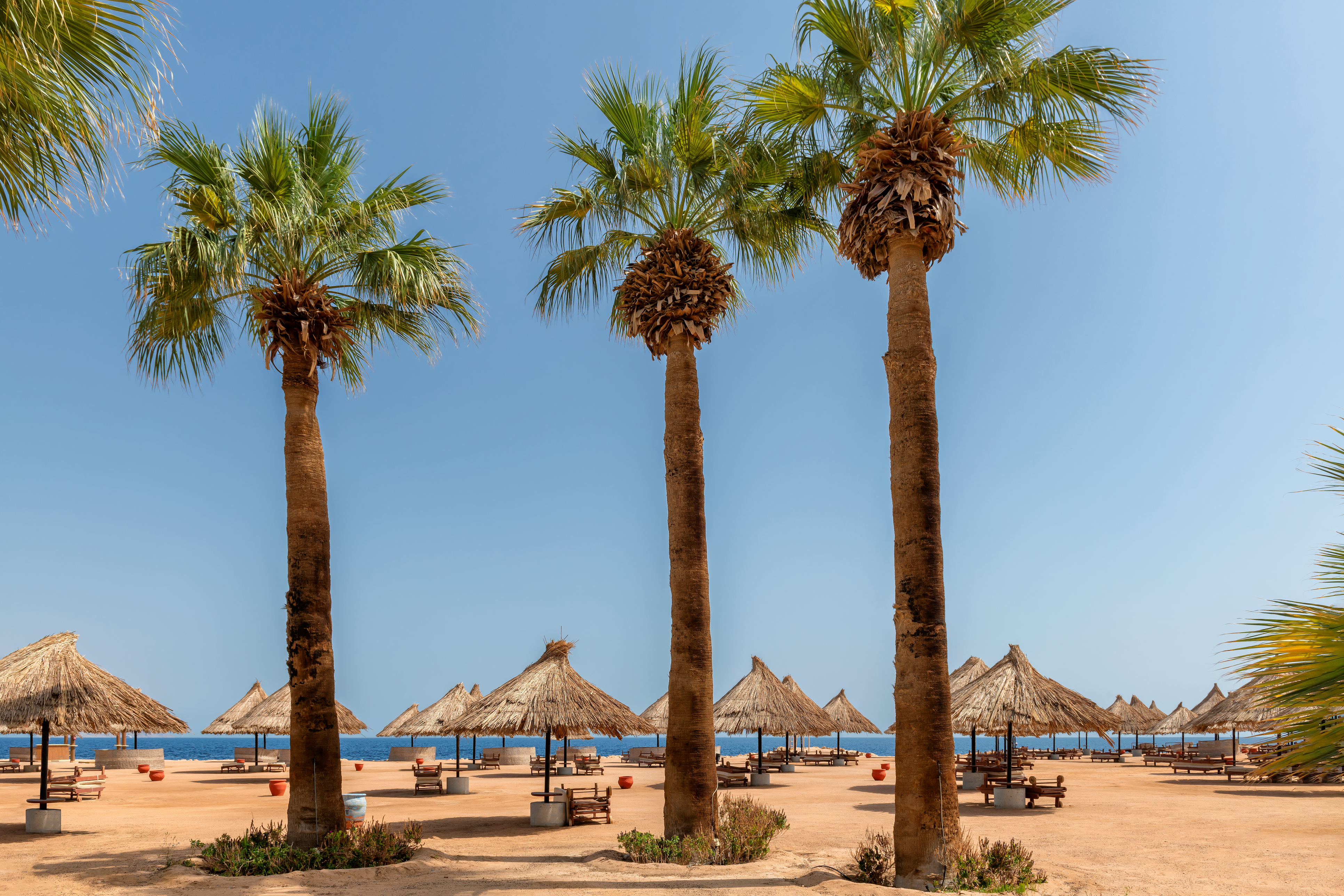 Hurgada | Credit: iStock.com/ lucky-photographer