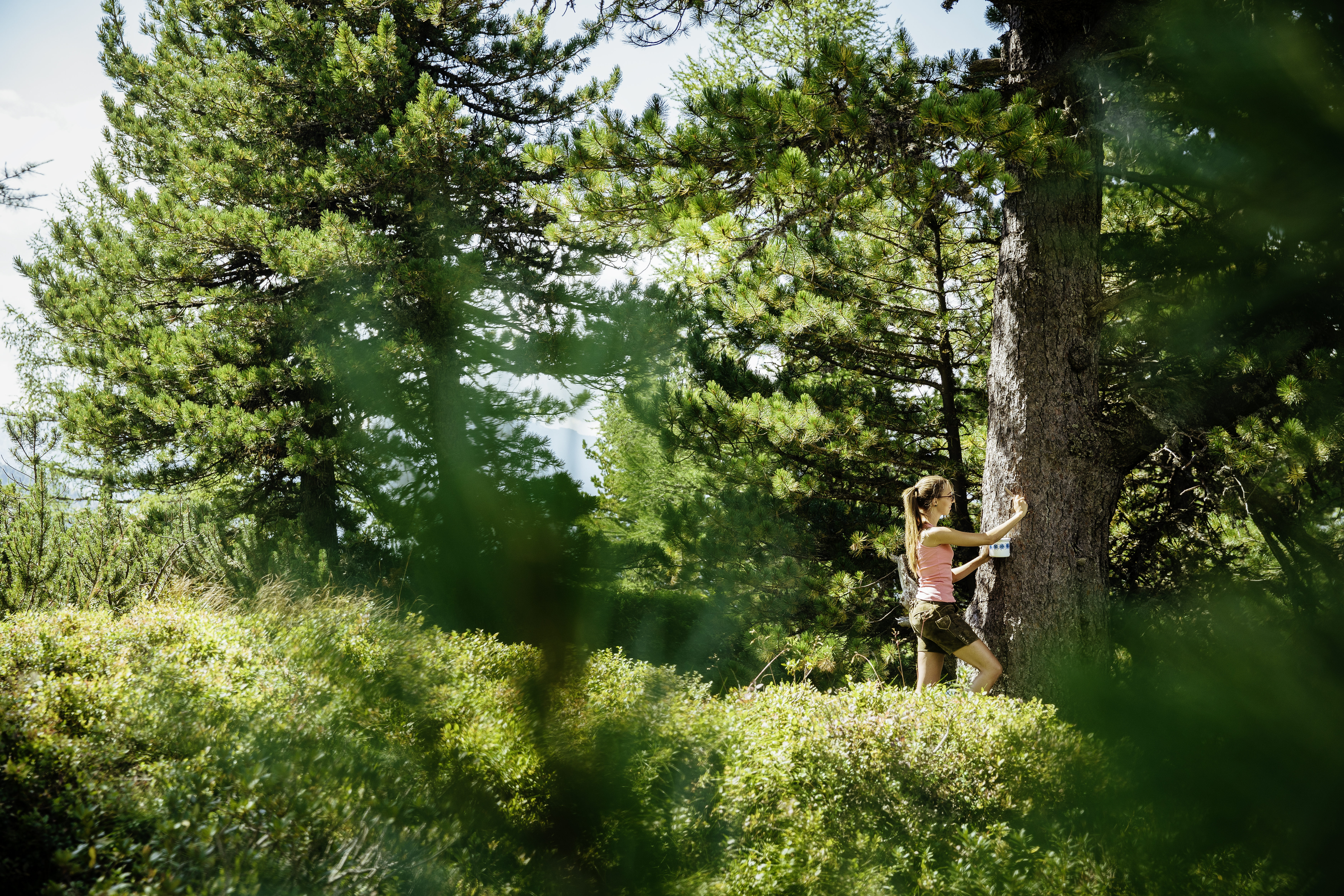 "Waldbaden" | Credit: