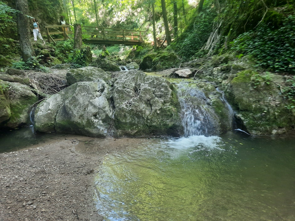Würflach