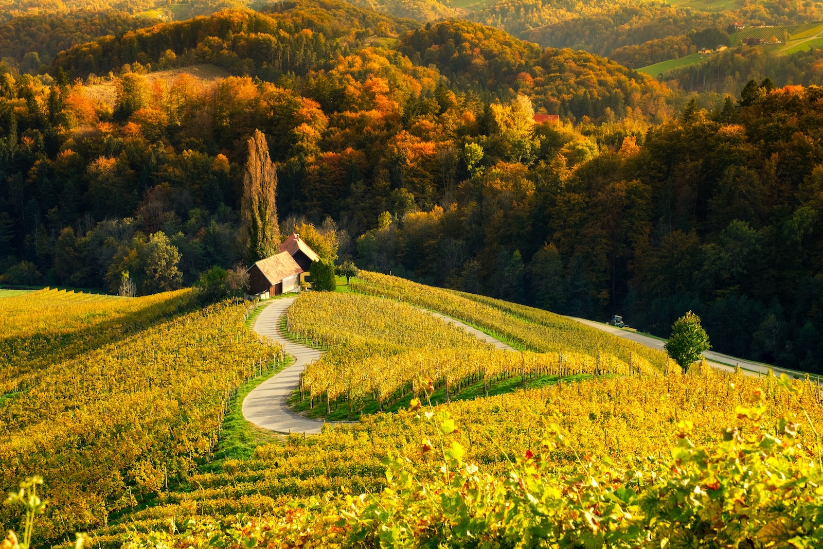 In der Näche Maribor | Credit: AdobeStock