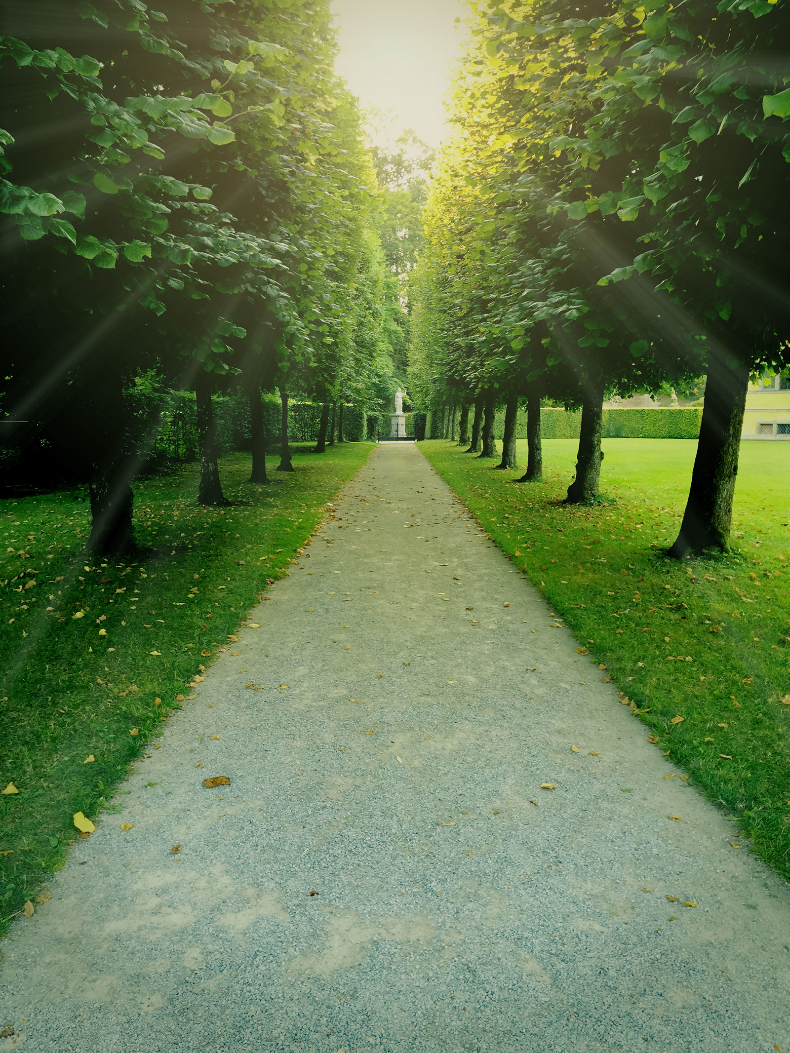 Allee Richtung Schloss Hellbrunn | Credit: iStock.com/April Wong
