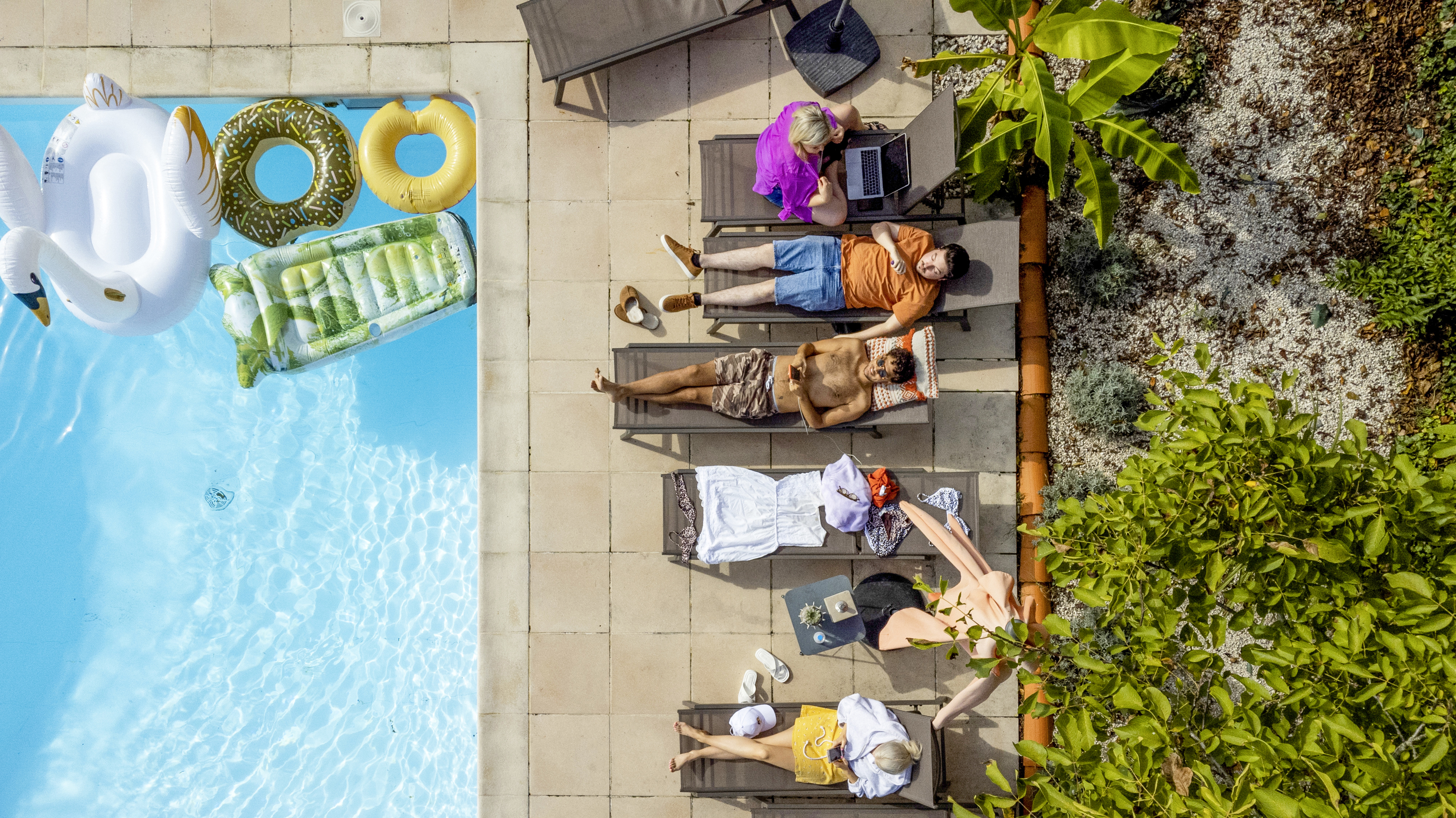 Arbeiten unter Palmen