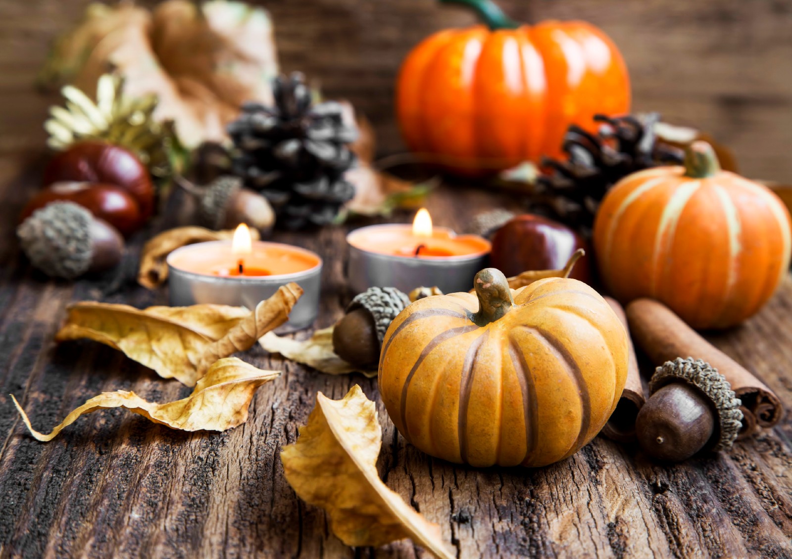 Kürbisse und Kastanien auf einem Holzplatte | Credit: iStock.com/Catalina-Gabriela Molnar