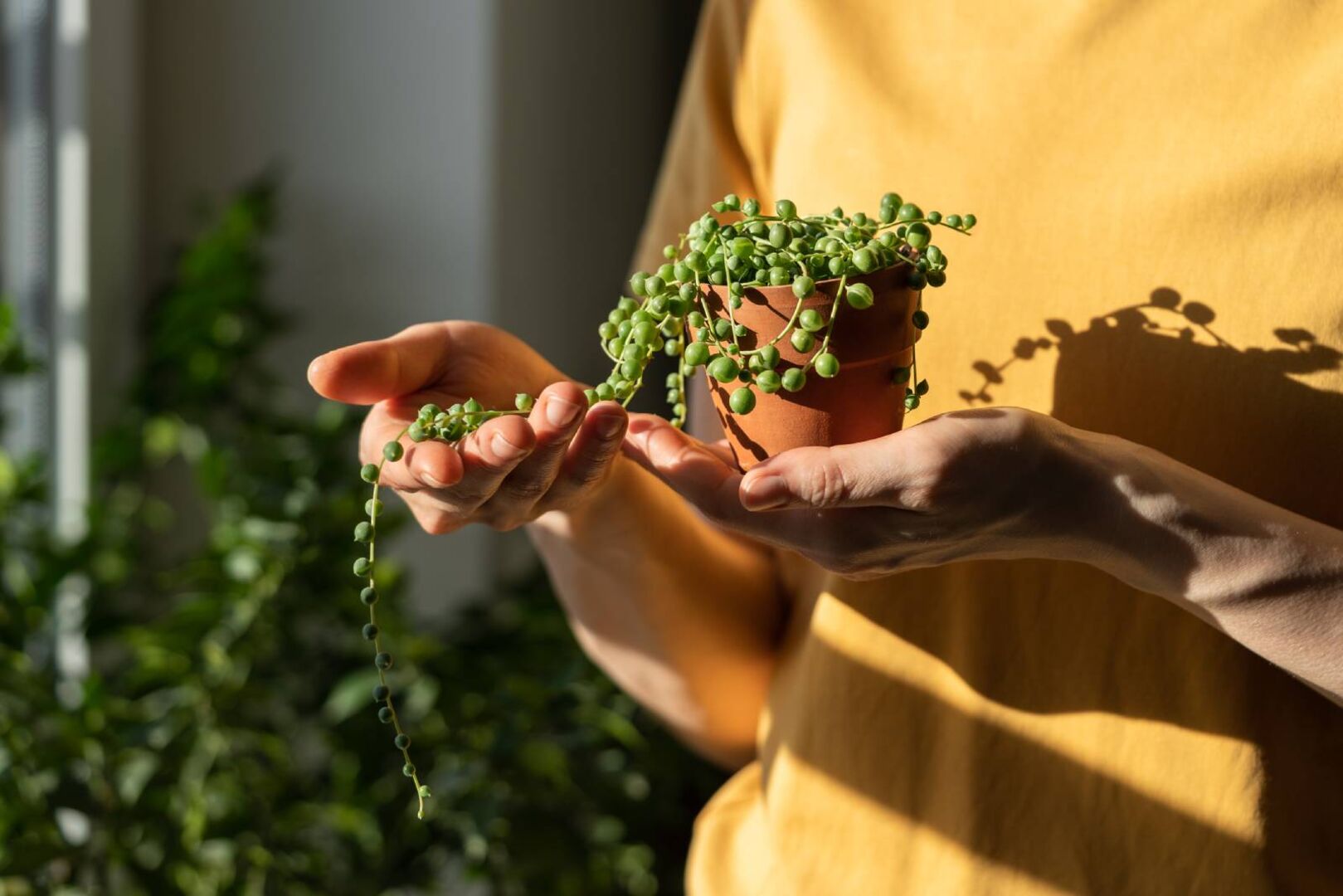 Junge Frau mit einer Erbsenpflanze in der Hand | Credit: iStock.com/Dima Berlin