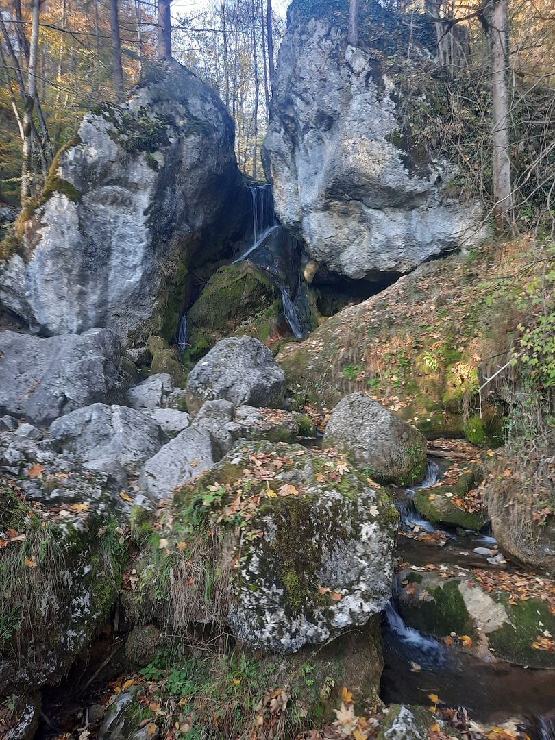 Wasser
