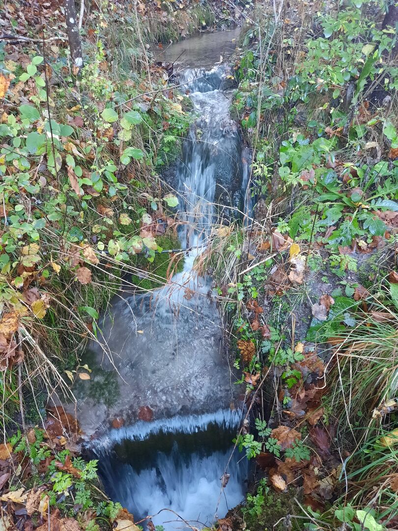 Wasser