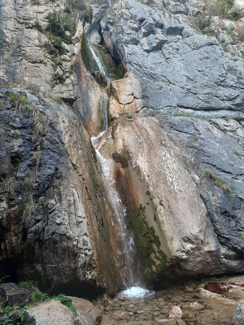 Wasser