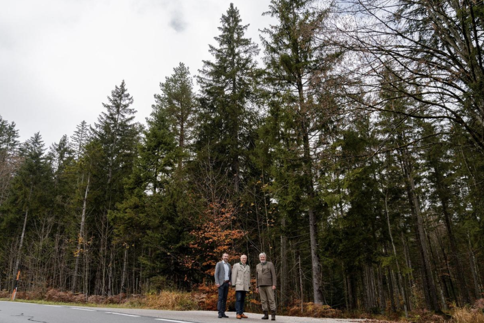 Drei Männer stehen auf einer Straße im Wald | Credit: Lebensressort Steiermark/Binder