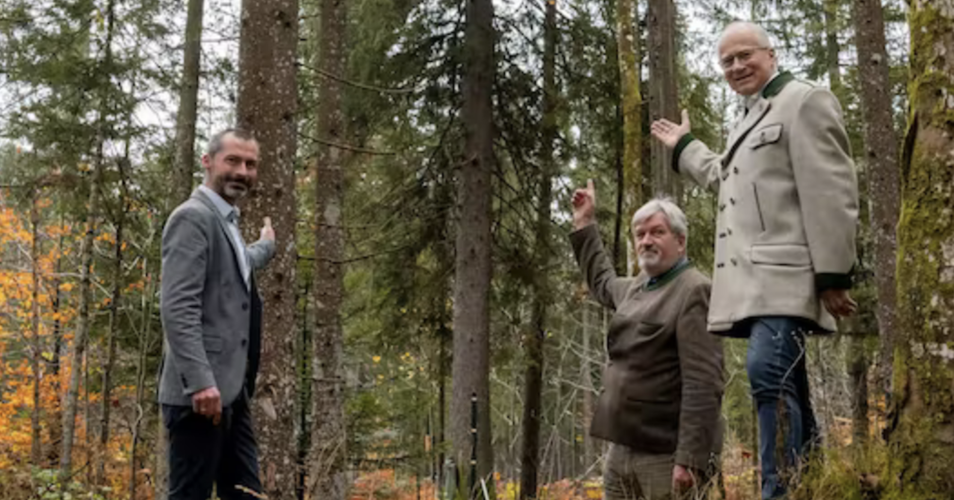 Drei Männer zeigen auf eine Fichte | Credit: Lebensressort Steiermark/Binder