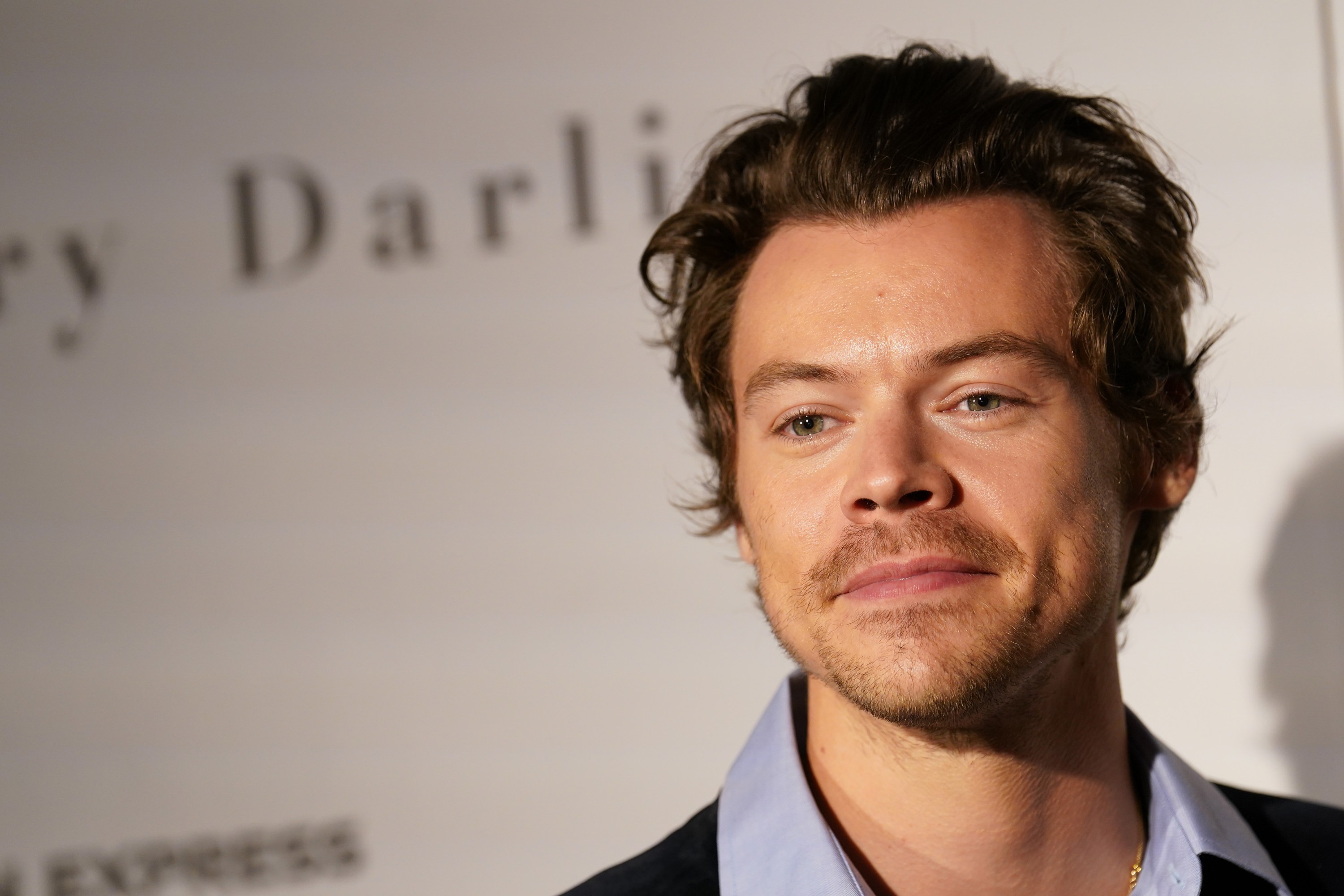 Sänger Harry Styles