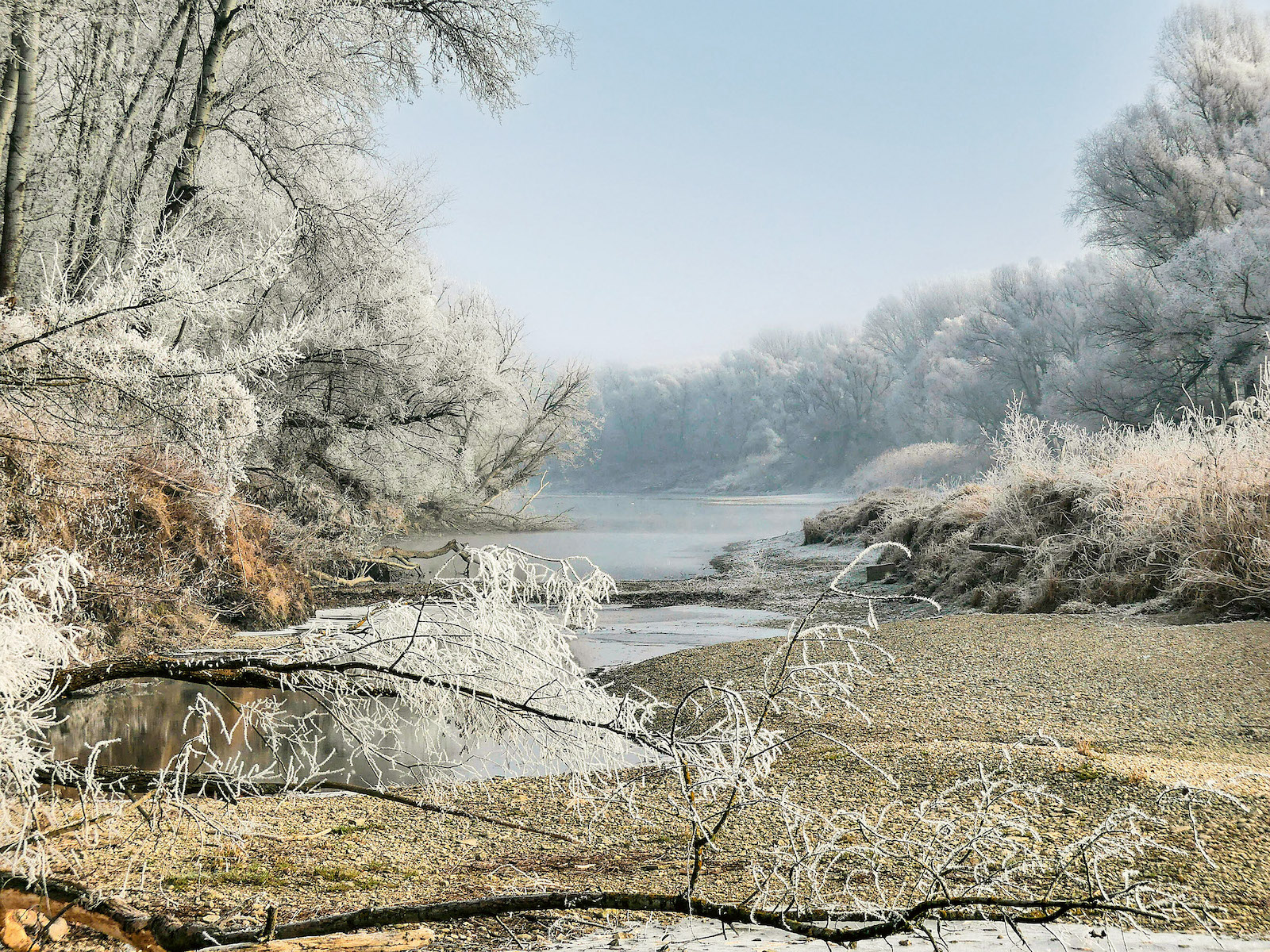 Donau Auen