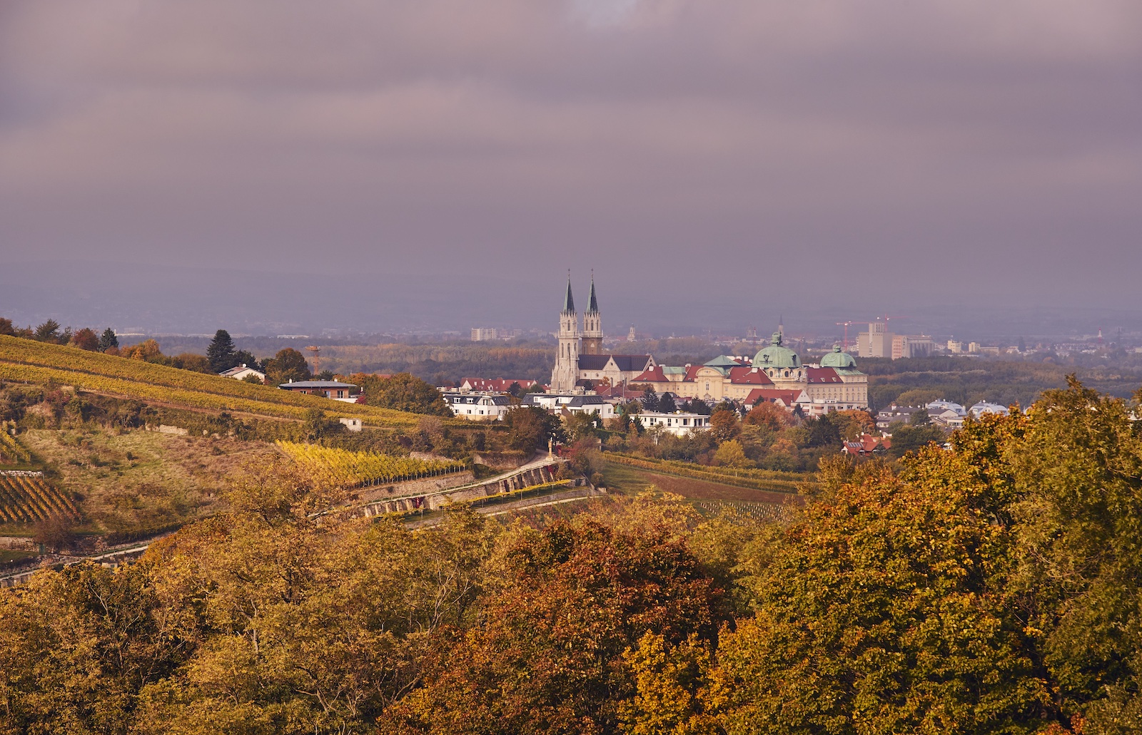 Wienerwald