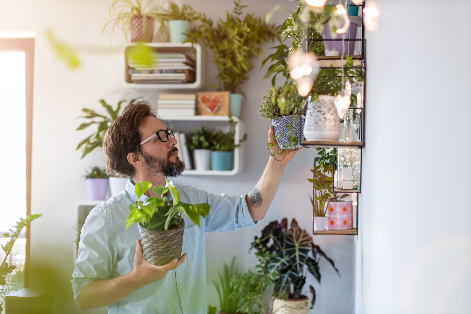 Mann stellt viel zu viele Pflanzen auf | Credit: iStock.com/PIKSEL