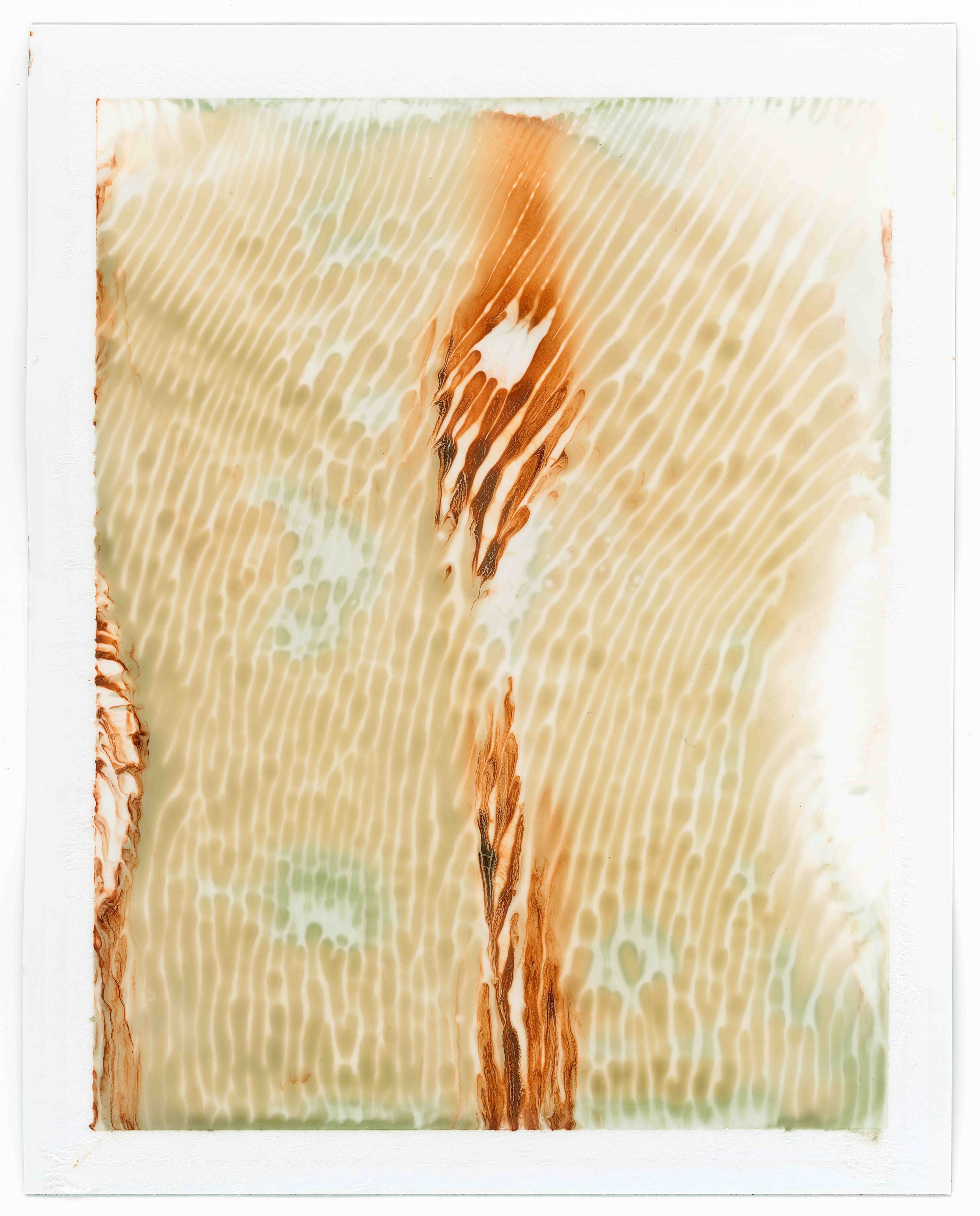 Roland Froschauer, "expired and exposed I", 2022, 132x105, Fotografie/Fine Art Print auf Büttenkarton