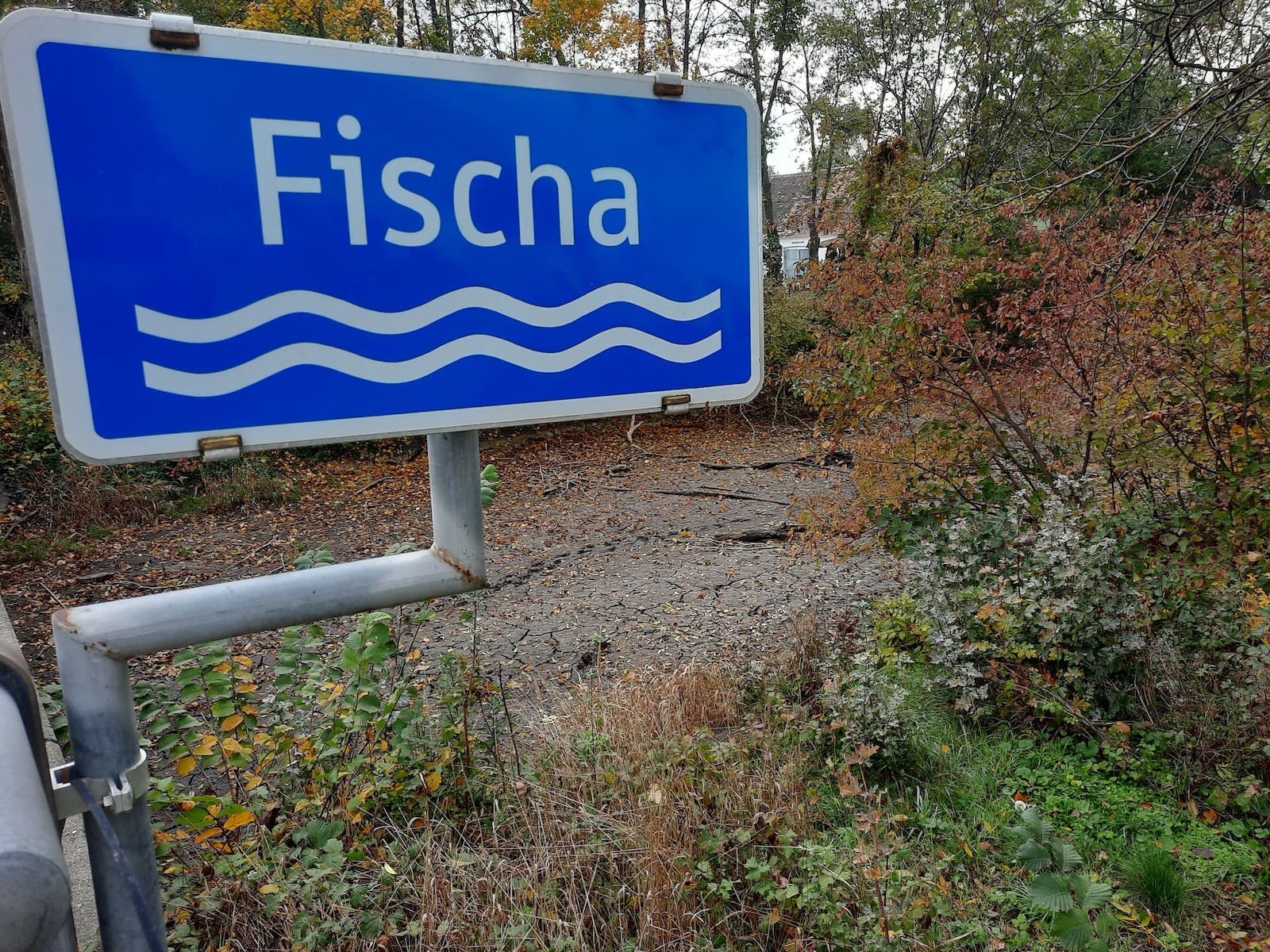 Fischa
