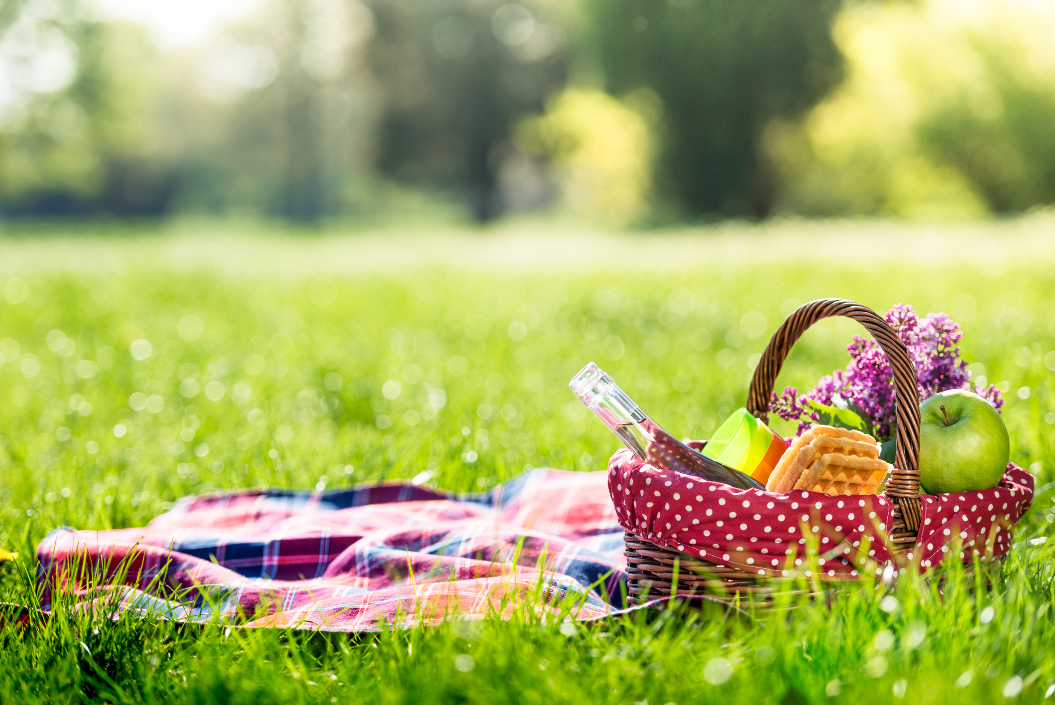 Picknick im Grünen