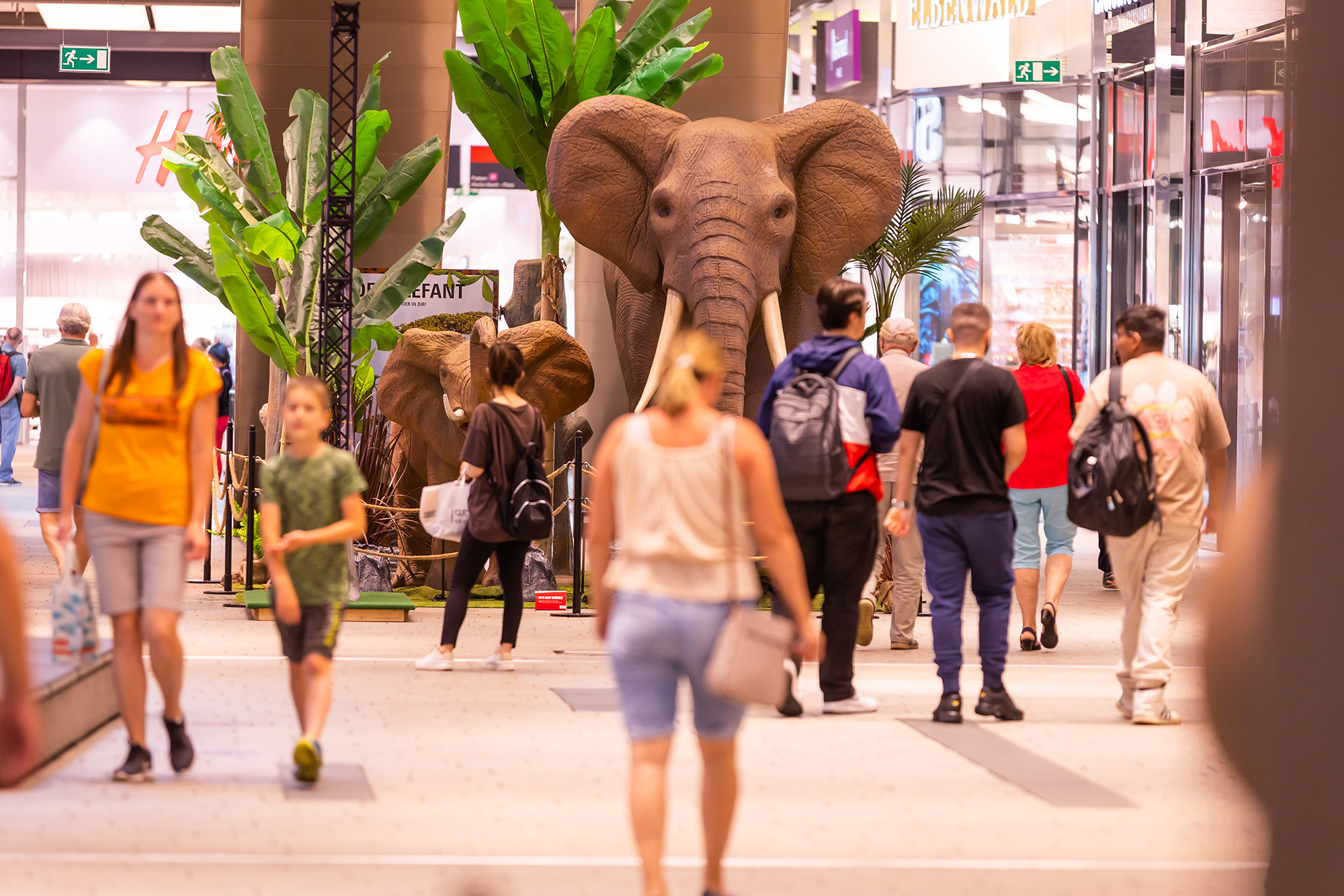 Die "Big 5"-Austellung im Murpark