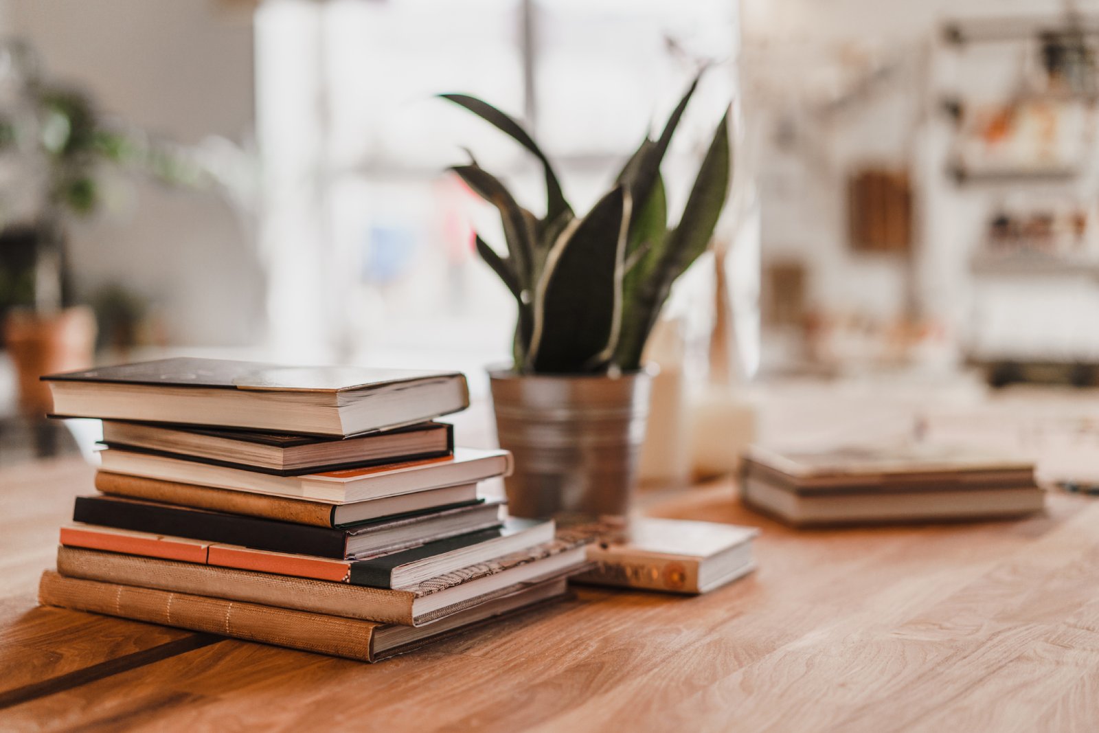 Eine Pflanze steht neben einem Stapel Bücher | Credit: iStock.com/Anastasia Gubinskaya