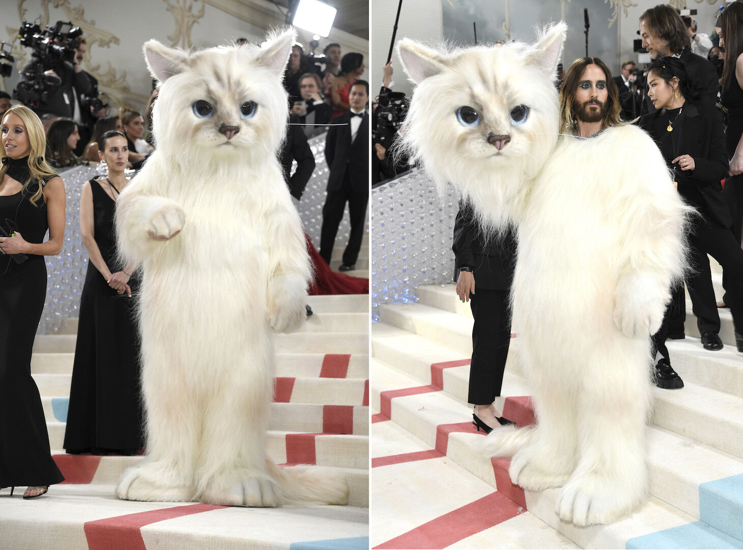 Jared Leto in seinem Katzen-Ganzköperkostüm.