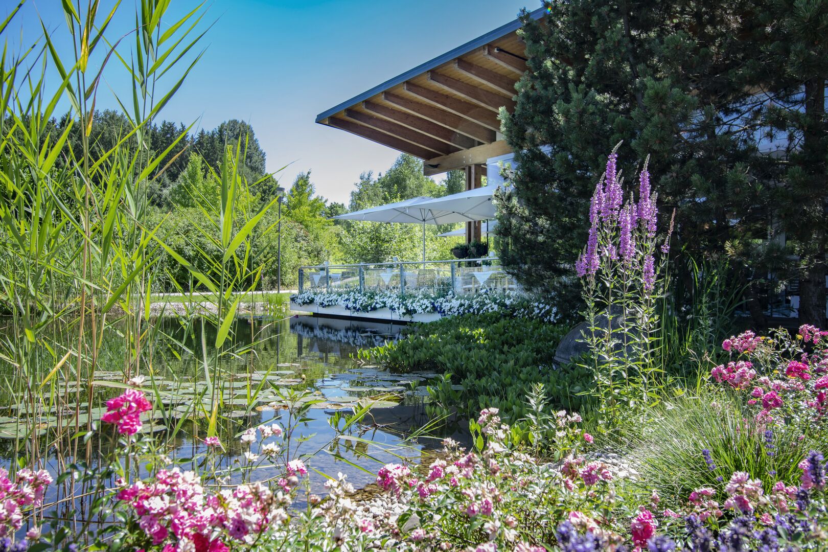 Haubenrestaurant Aquarium - SPA Resort Geinberg