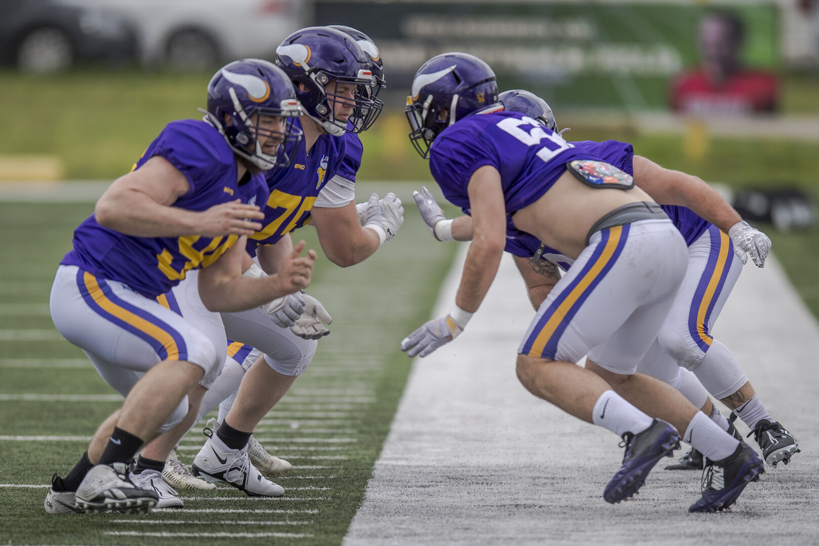 Vienna Vikings