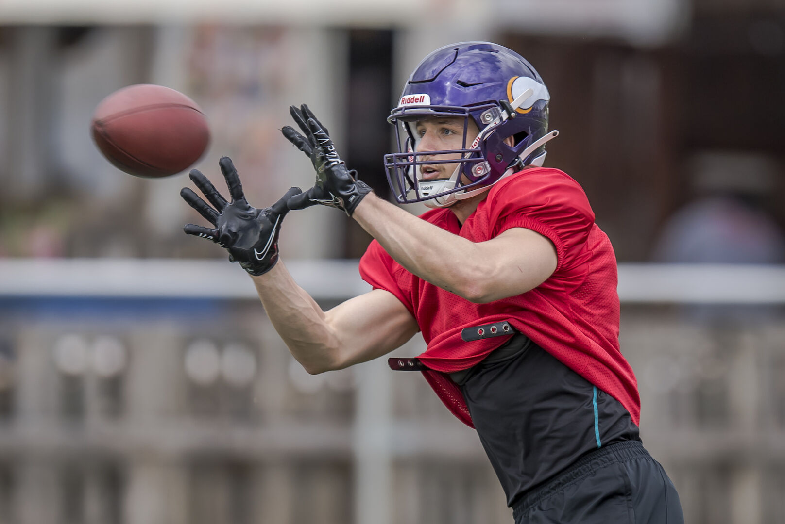 Vienna Vikings
