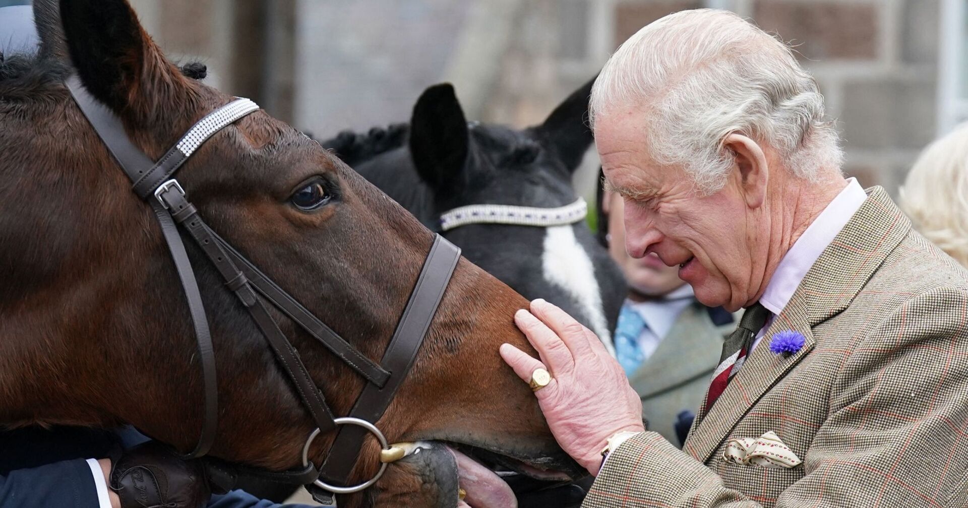 König Charles streichelt die Nüstern eines Pferdes.