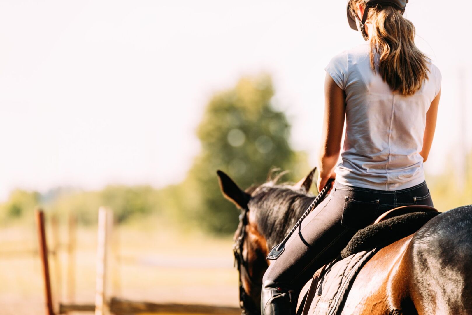 Frau reitet auf ihrem Pferd im Grünen | Credit: iStock.com/nd3000