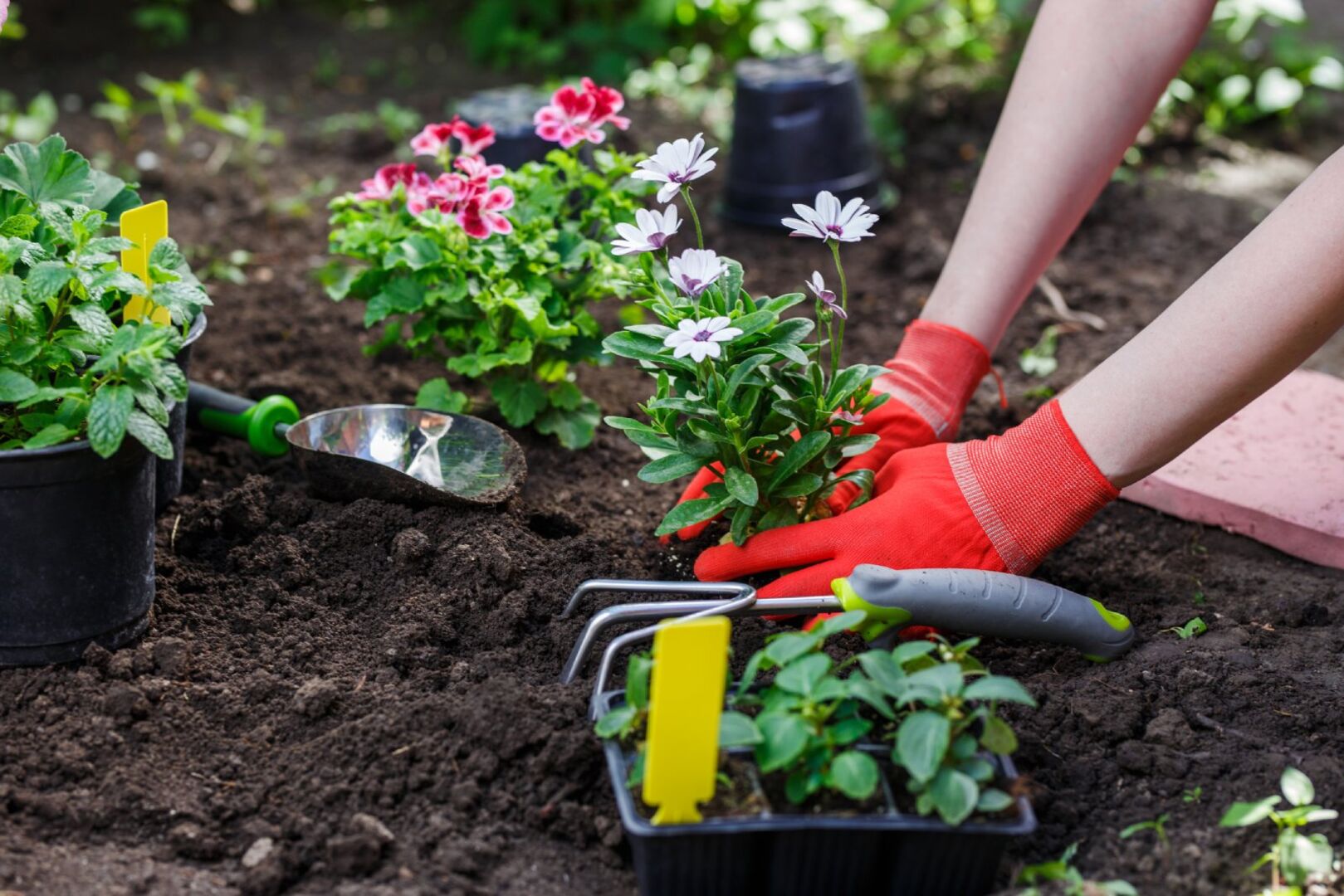 Frau pflanzt Blumen | Credit: iStock.com/Maximkostenko