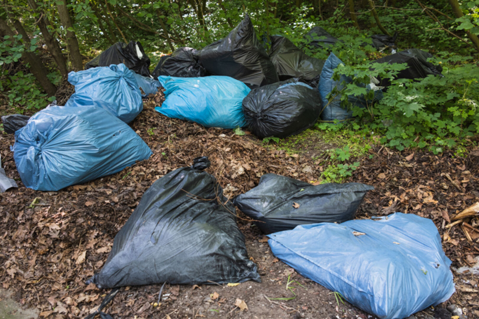 Müllsäcke im Wald