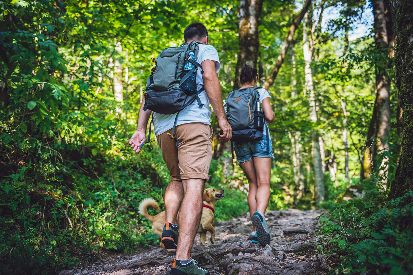 Wandern in Kärnten | Credit: iStock.com/Kerkez