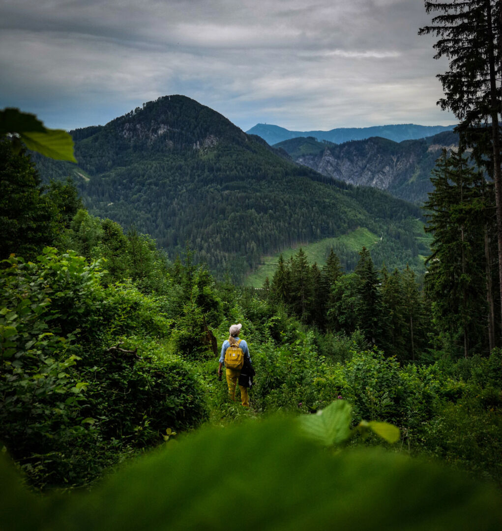 Ötscher