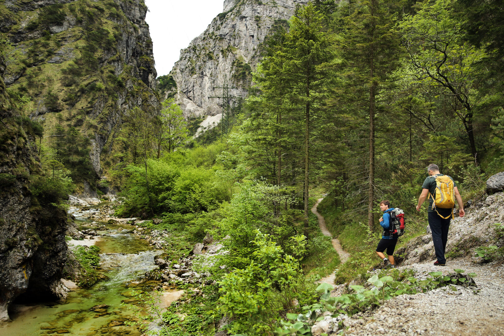 Ötscher-Tormäuer