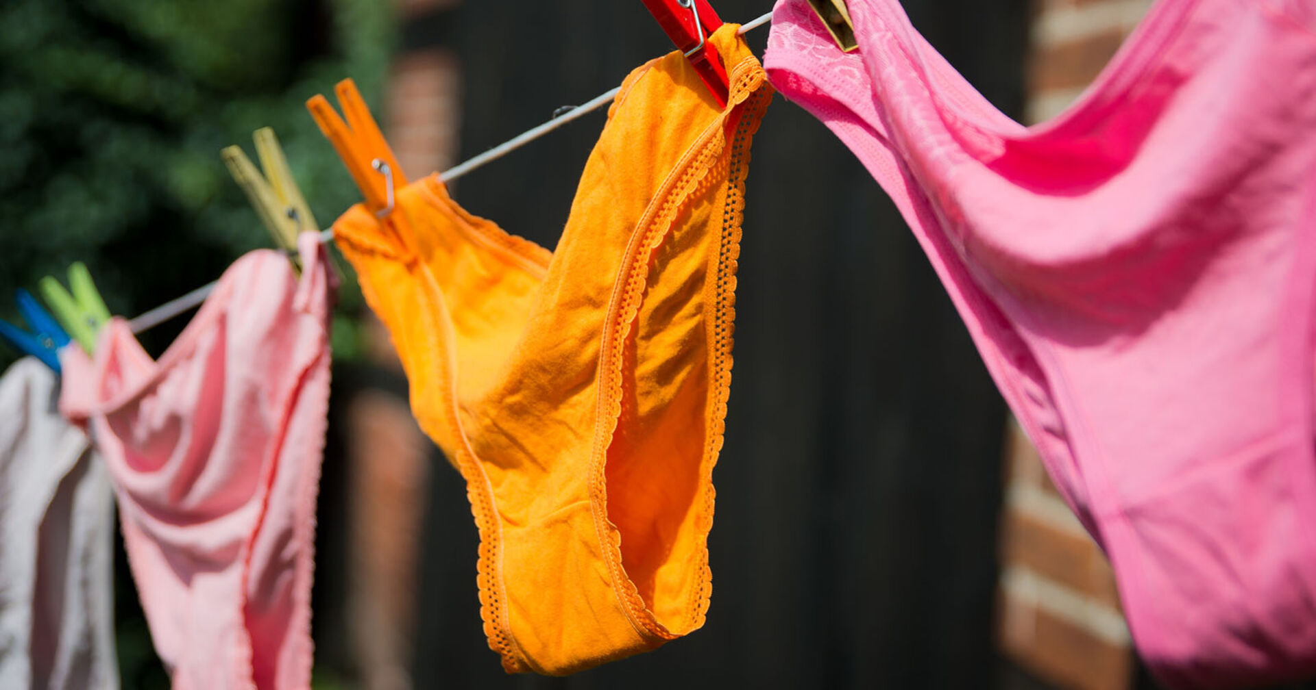 Bunte Frauenunterwäsche trocknet auf einer Wäscheleine