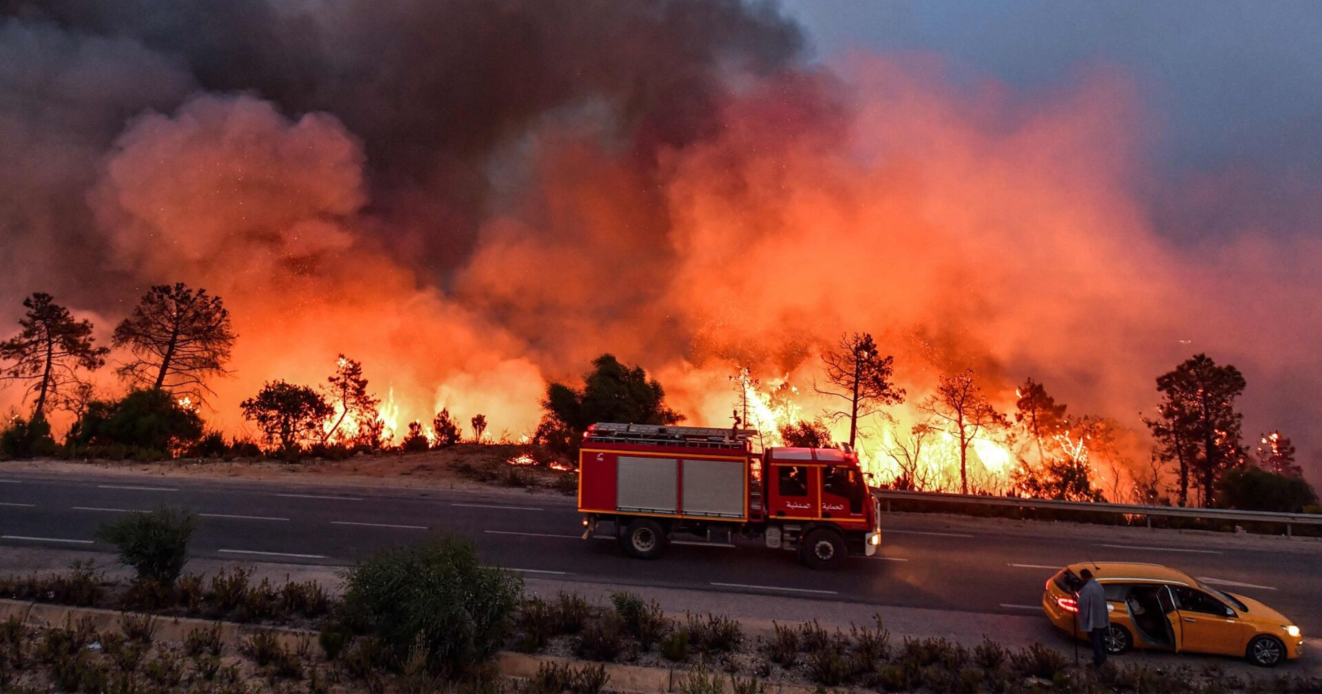 Ein Feuerwehrauto auf der Straße vor einem brennenden Wald