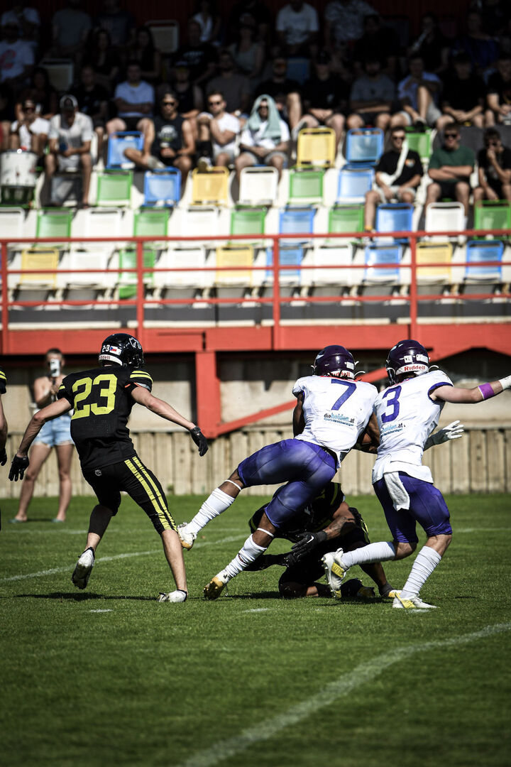 Vienna Vikings