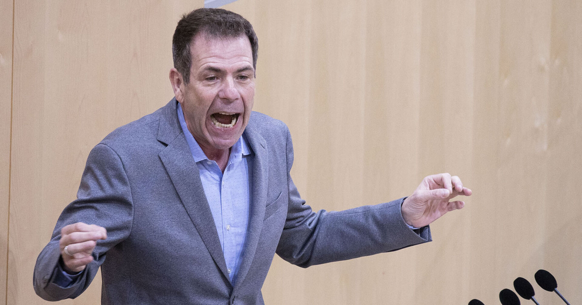 FPÖ-EU-Abgeordneter Harald Vilimsky im Rahmen einer Sitzung des österreichischen Nationalrats.