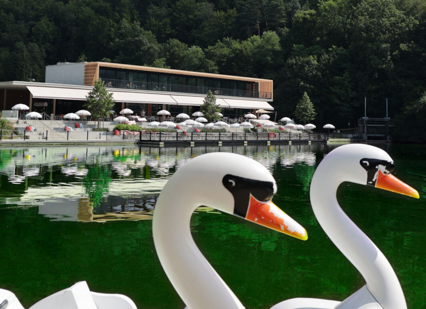 Waldcafé am Thalersee