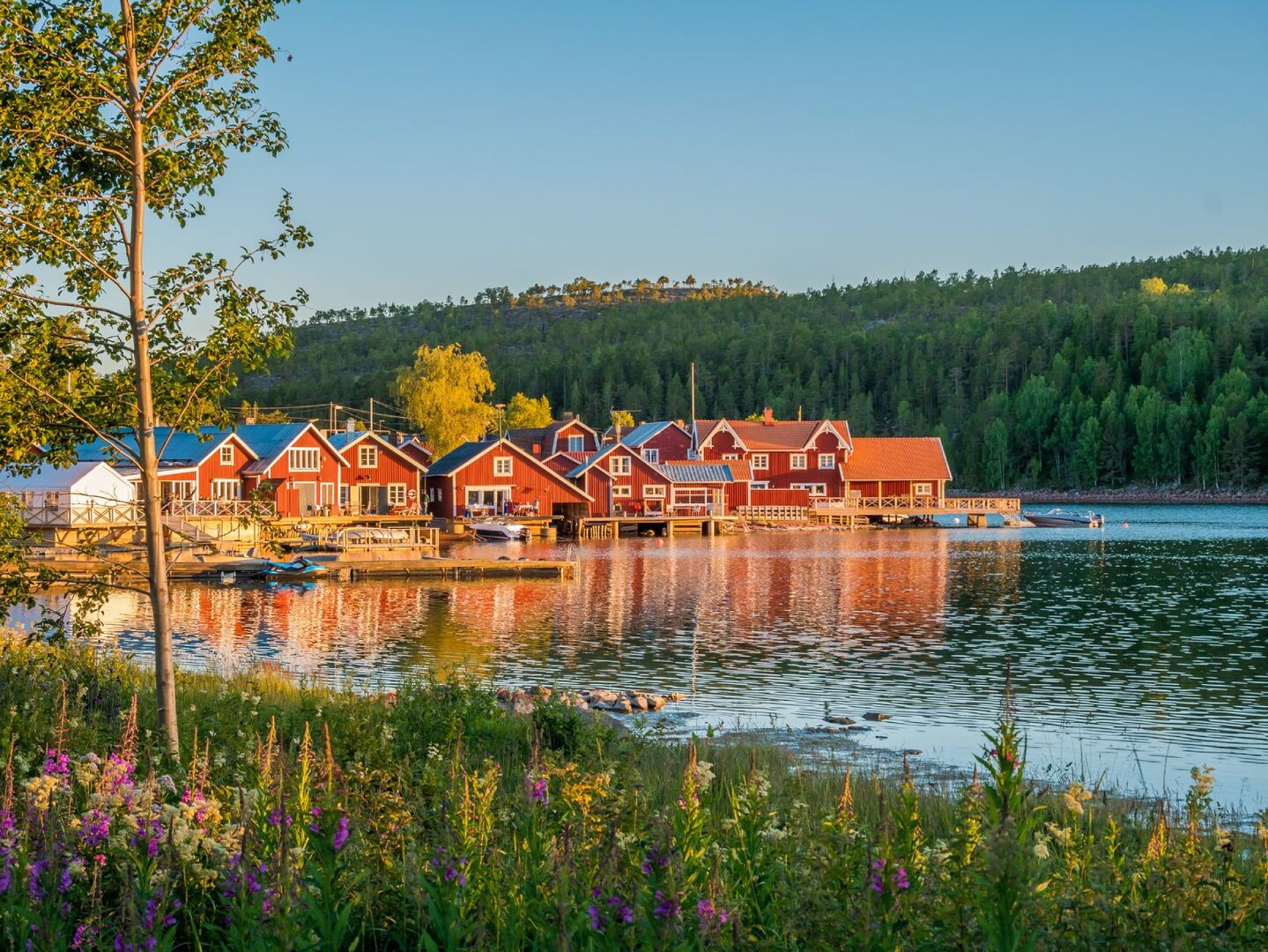 Flora von Schweden | Credit: iStock.com/Adam Höglund