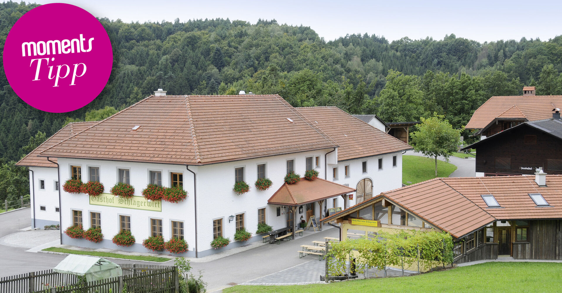 Schlagerwirt
