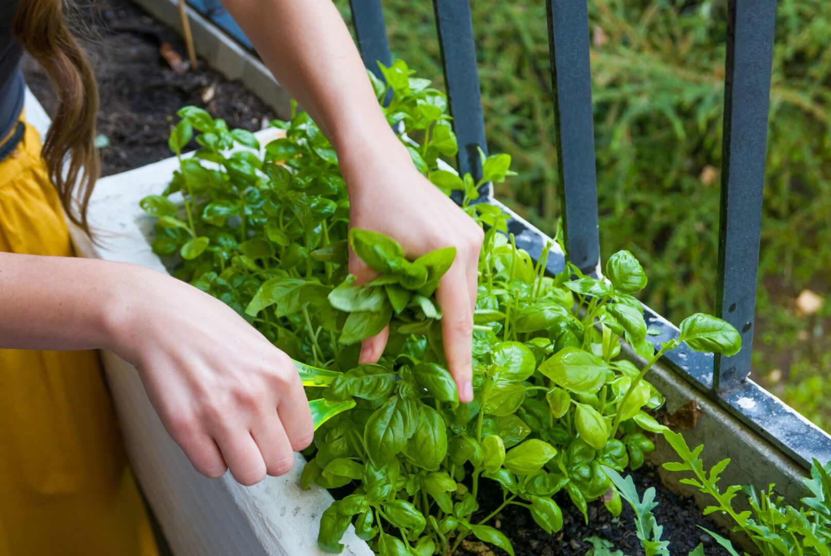 Frau pflanzt Kräuter am Balkon | Credit: iStock.com/Darwel