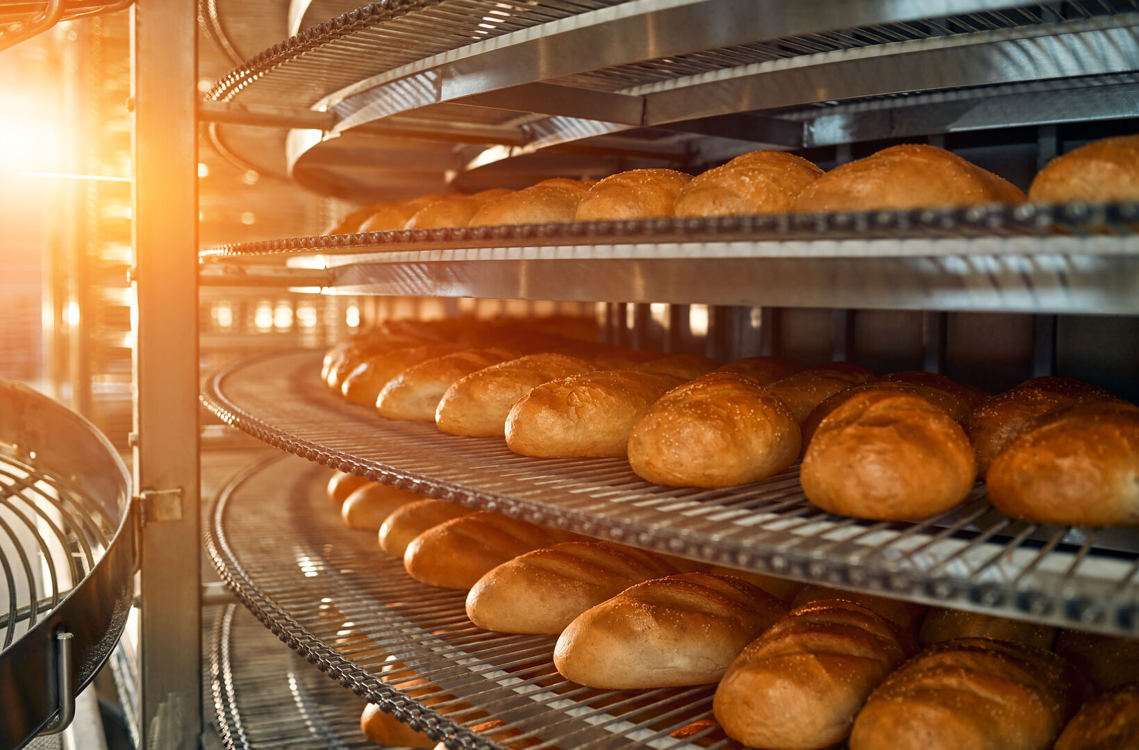 Frisch gebackenes Brot in Regalen